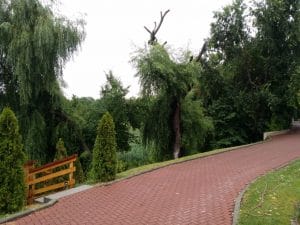 Club Floreasca, restaurant si terasa pe Lacul Floreasca