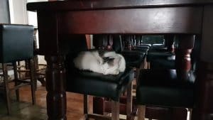 Coppers Pub, club si bistrou boem