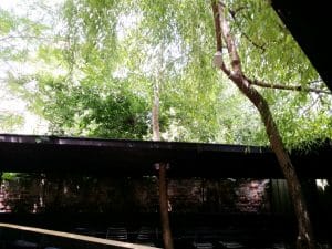 Edo Sushi Garden, restaurant japonez pe Stirbei Voda in Bucuresti