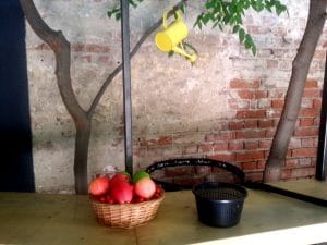 Edo Sushi Garden, restaurant japonez pe Stirbei Voda in Bucuresti