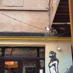 Fabrica, local boem si club muzical in Bucuresti