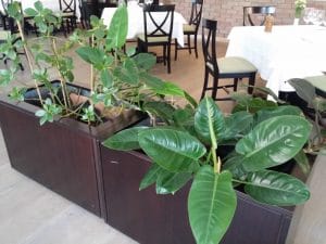 Golden Blitz, restaurant cu specific romanesc la Razoare