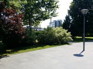 Golden Blitz, restaurant cu specific romanesc la Razoare