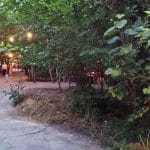 Gradina Eden, terasa boema pe Calea Victoriei in Bucuresti