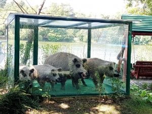 Insula Copiilor, Complex Herastrau, un restaurant child friendly in Parcul Herastrau