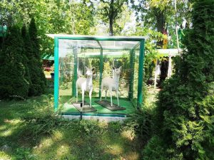 Insula Copiilor, Complex Herastrau, un restaurant child friendly in Parcul Herastrau