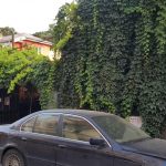 Jacques Pot, terasa boema in Bucurestiul vechi