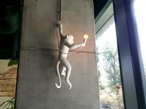 Kane World Food Studio