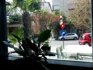 Kane World Food Studio