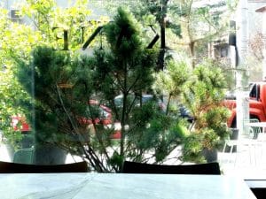 Kane World Food Studio