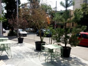 Kane World Food Studio