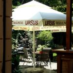 Mahala, restaurant cu bucatarie urbana la Palatul Bragadiru