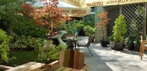 Mahala, restaurant la Palatul Bragadiru, bucatarie romaneasca moderna