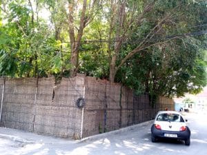 Piranha, restaurant club in Regie