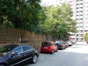 Piranha, restaurant club in Regie