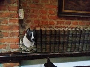 Piranha, restaurant club in Regie