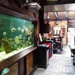 Piranha, restaurant club in Regie