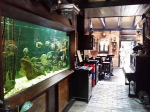 Piranha, restaurant club in Regie