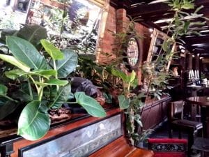 Piranha, restaurant club in Regie