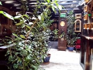 Piranha, restaurant club in Regie