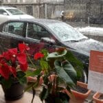 Plated Winebar and Bistro, restaurant in CA Rosetti in Bucuresti