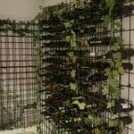 Plated Winebar and Bistro, restaurant in CA Rosetti in Bucuresti