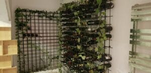 Plated Winebar and Bistro, restaurant in CA Rosetti in Bucuresti