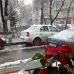 Plated Winebar and Bistro, restaurant in CA Rosetti in Bucuresti