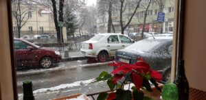 Plated Winebar and Bistro, restaurant in CA Rosetti in Bucuresti