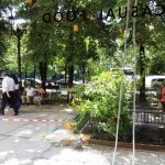Piata Constitutiei din Bucuresti, cu restaurantele Haute Pepper si Social 1