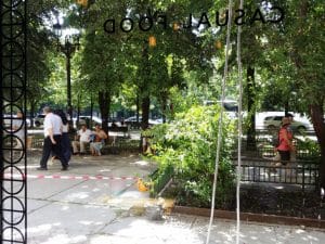 Piata Constitutiei din Bucuresti, cu restaurantele Haute Pepper si Social 1