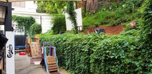 Suzana Ribs & Wings, restaurant texan la Palatul Bragadiru