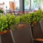 Suzana Ribs & Wings, restaurant texan la Palatul Bragadiru