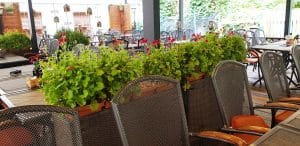 Suzana Ribs & Wings, restaurant texan la Palatul Bragadiru