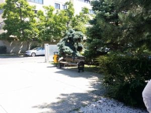 The Grill meet and meat, restaurant in Satul Francez