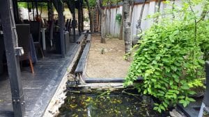 Zen Garden, restaurant chinezesc cu terasa in Bucuresti, pe Silvestru