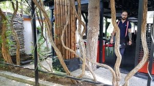 Zen Garden, restaurant chinezesc cu terasa in Bucuresti, pe Silvestru