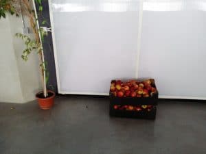 Beans & Dots, una dintre cafenelele boeme din Palatul Universul