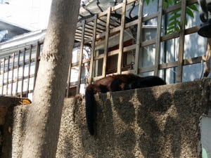 Beat Bar Umanist, pe Vasile Lascar in Bucuresti