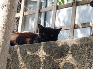 Beat Bar Umanist, pe Vasile Lascar in Bucuresti