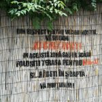 Boogie, bar & pub de motociclisti si rockeri