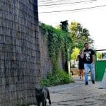 Boogie, bar & pub de motociclisti si rockeri