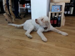 La Bottega del Tartufo, Pasterra, cainele Bosco, mancand paste si band vin