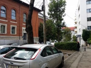 Clubul Taranului (MTR), restaurant si terasa la Muzeul Taranului Roman