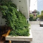 Clubul Taranului (MTR), restaurant si terasa la Muzeul Taranului Roman