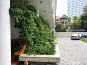 Clubul Taranului (MTR), restaurant si terasa la Muzeul Taranului Roman