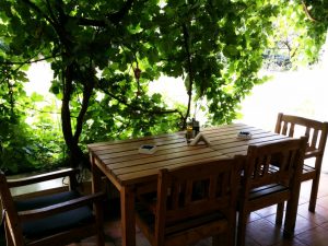 Clubul Taranului (MTR), restaurant si terasa la Muzeul Taranului Roman