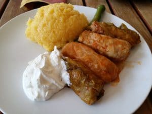 Clubul Taranului (MTR), restaurant si terasa la Muzeul Taranului Roman