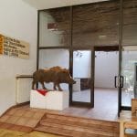 Clubul Taranului (MTR), restaurant si terasa la Muzeul Taranului Roman