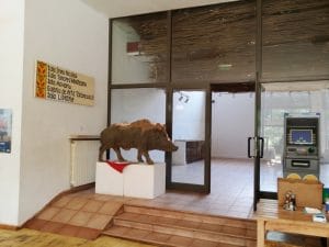 Clubul Taranului (MTR), restaurant si terasa la Muzeul Taranului Roman